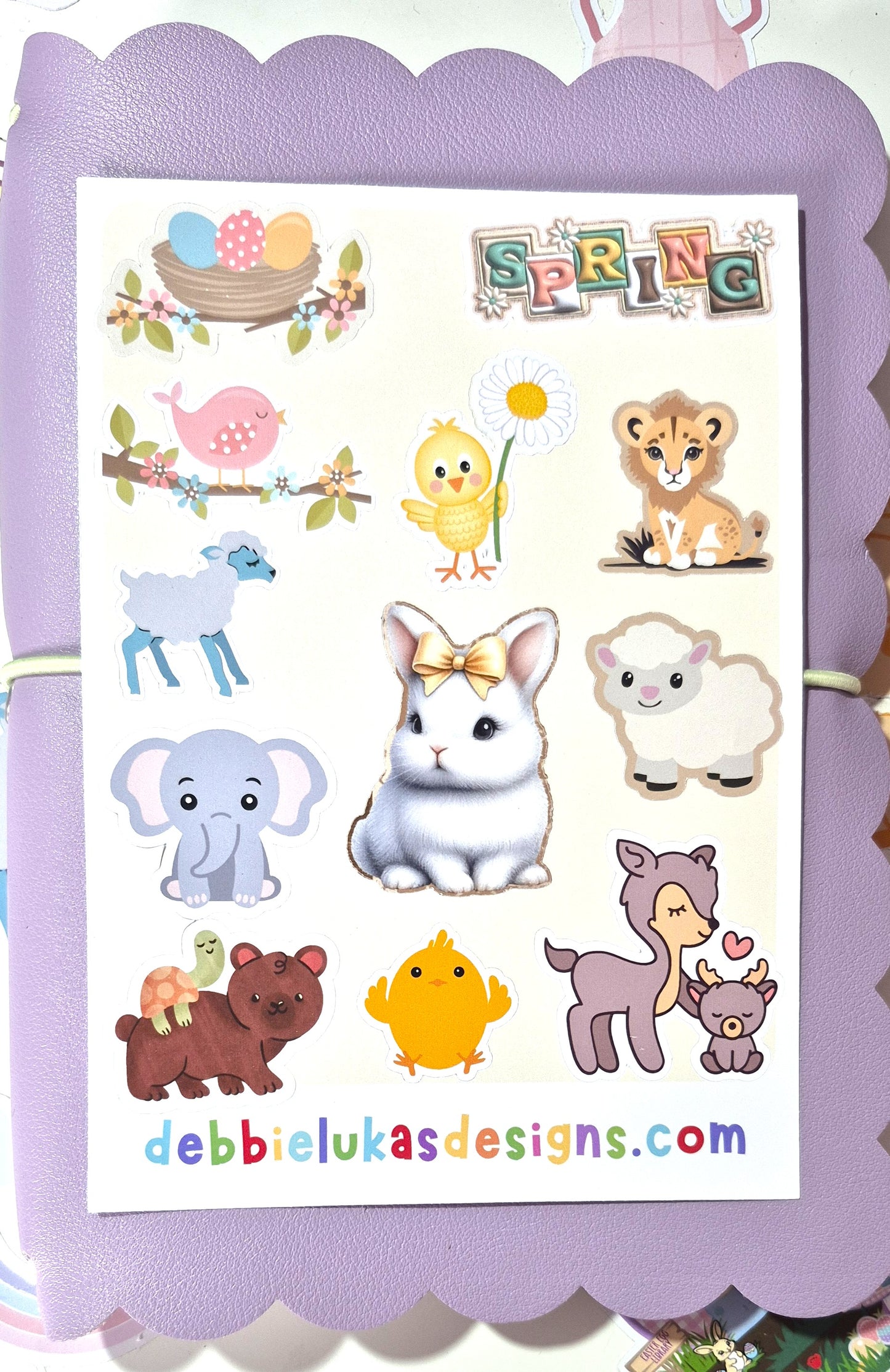 Bob's World Collection